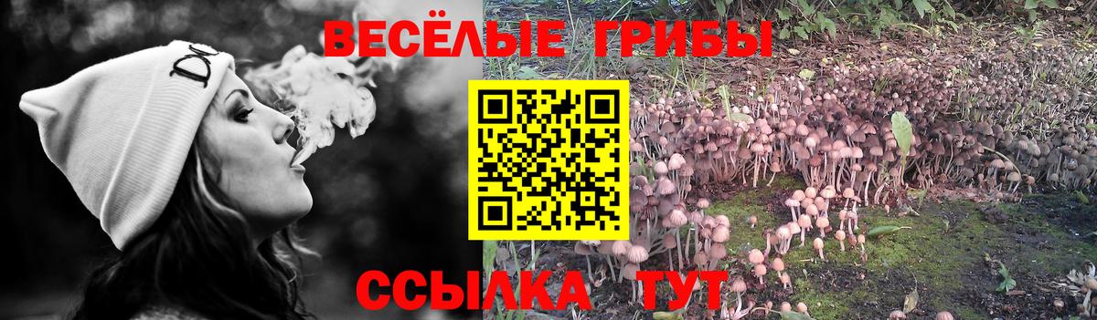 Псилоцибиновые грибы Magic Shrooms Кириши