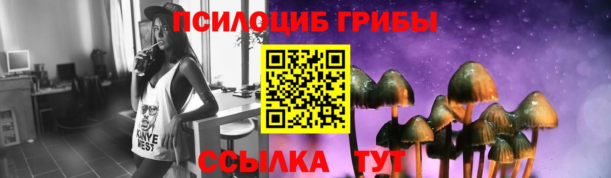 Галлюциногенные грибы Psilocybe  магазин  наркотиков  Псилоцибиновые грибы GOLDEN TEACHER  Кириши  Вход с VPN 
