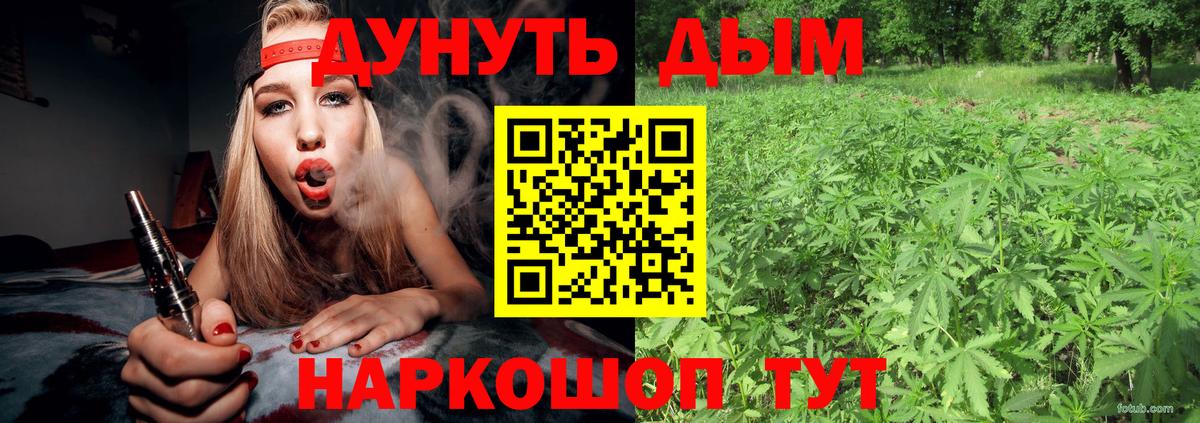 Каннабис ГИДРОПОН  Шишки марихуана AK-47  Вход с VPN  Бошки марихуана конопля  Канабис THC 21%  Кириши 